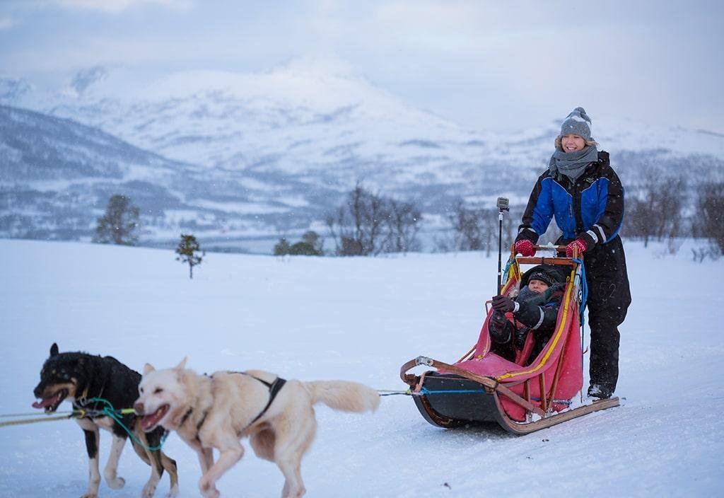 Two people husky sledding and two huskies