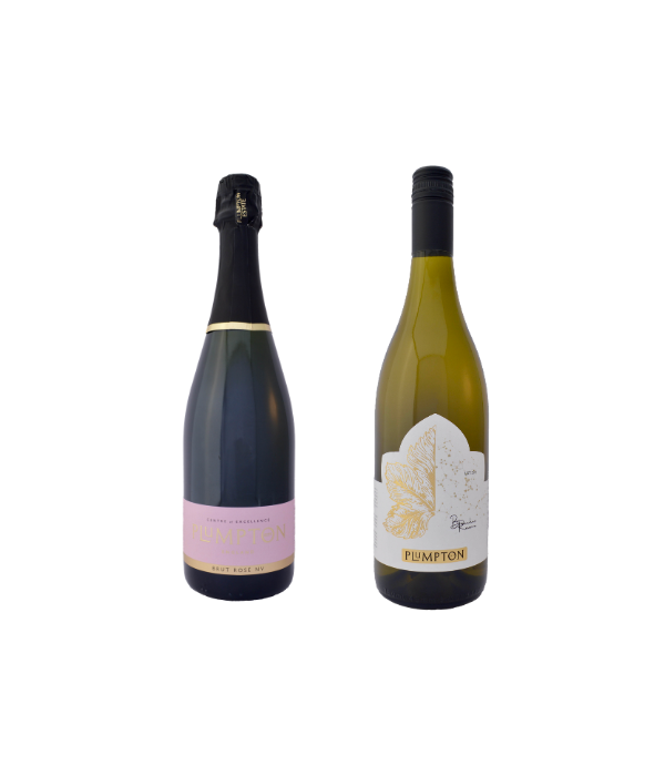 Plumpton College Launches Online Courses for UK Wine Careers